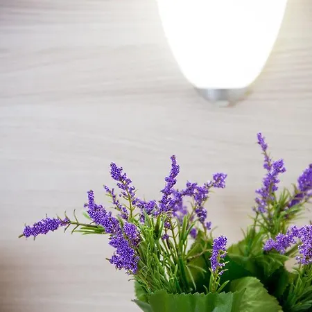 Bed & Breakfast Primo Sole 3*