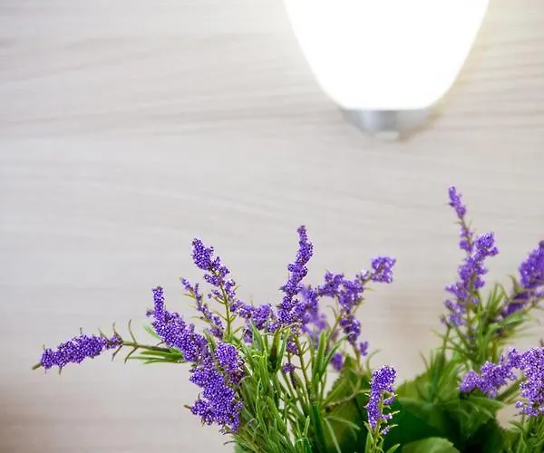 Bed and Breakfast Primo Sole 3*